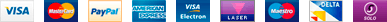 Payment Icon