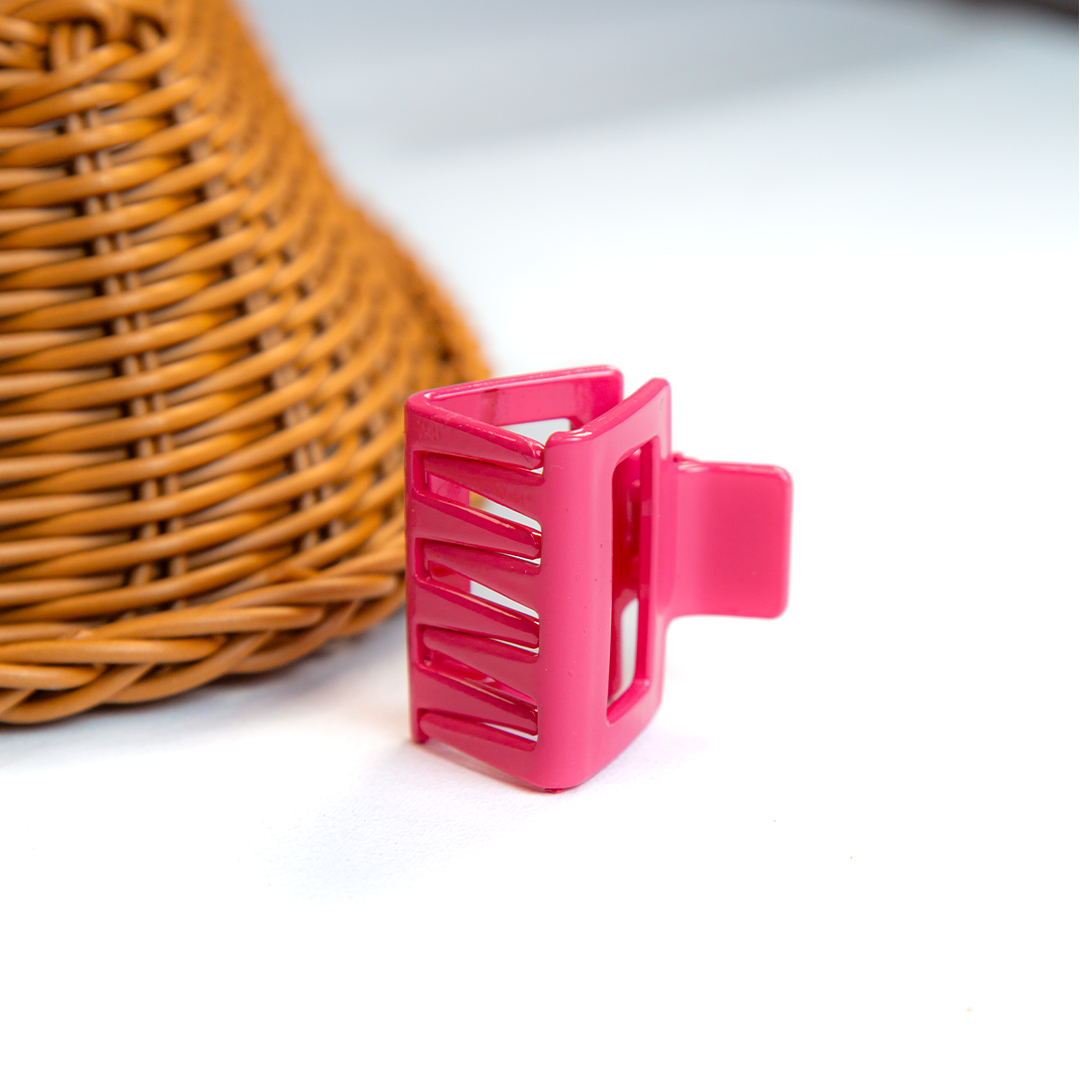 Pestal Color Hair Clip