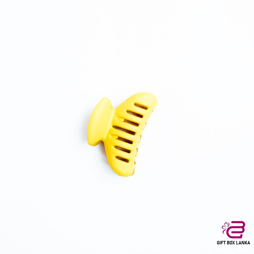 Small Hair Clips  (D- 216)