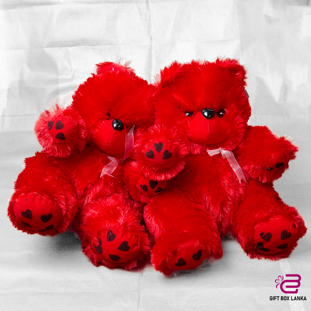 Big Loving Fluffy Teddy Bear (D- 1099)