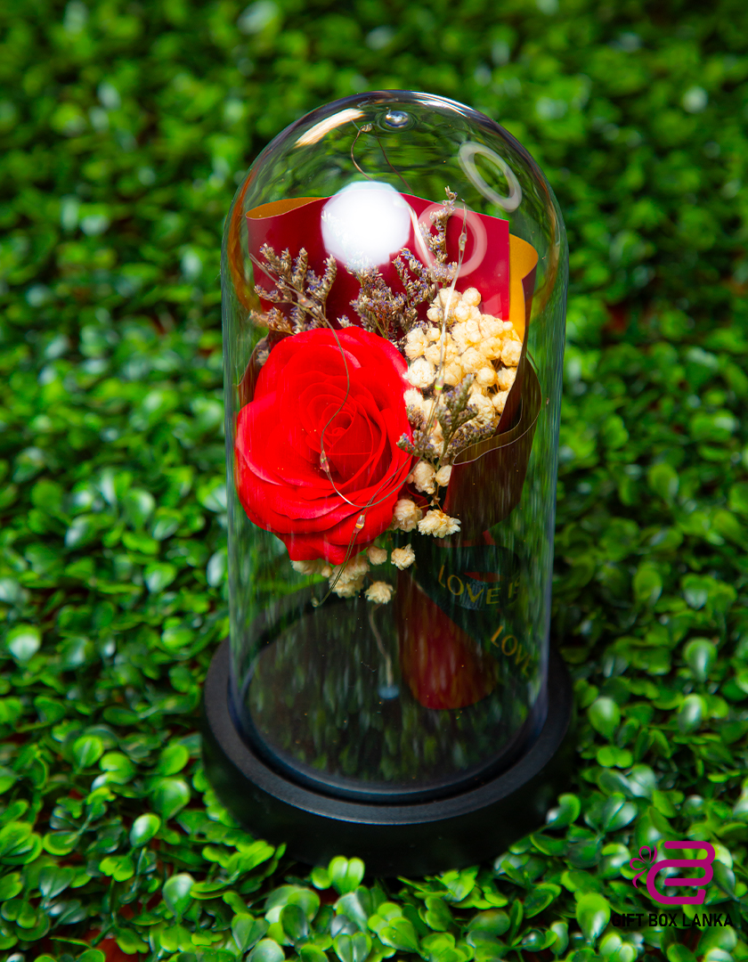 LED Light Rose Flower (D- 1200)