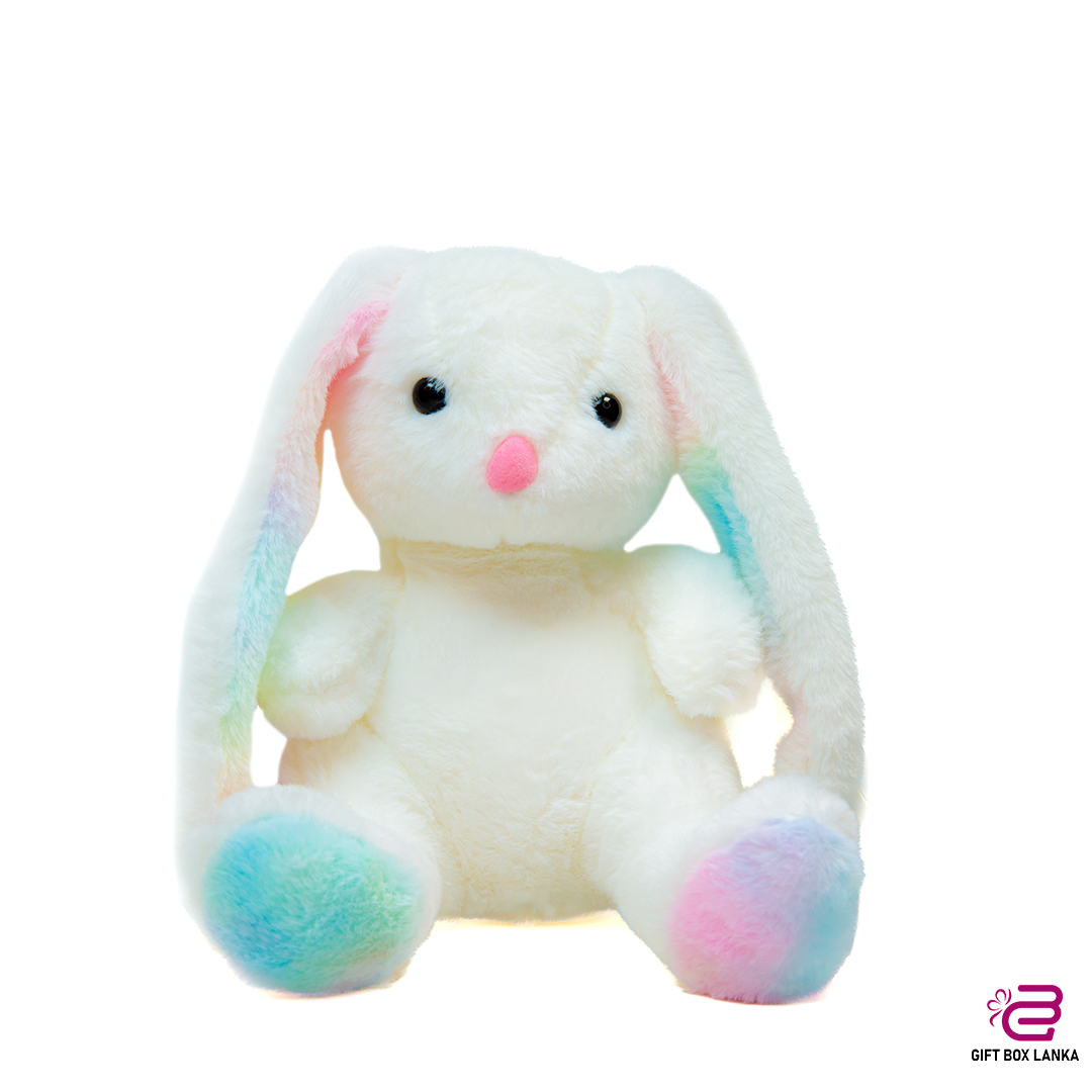 Cute Big Ear Rabbit Plush Toy (D- 1348)