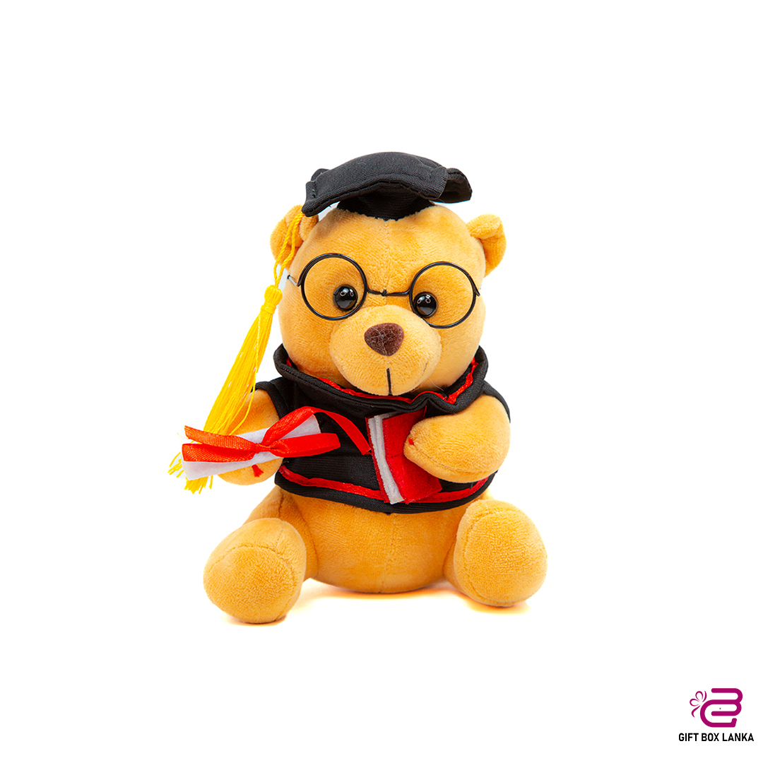 Small Graduation Teddy Bear (D- 1354)