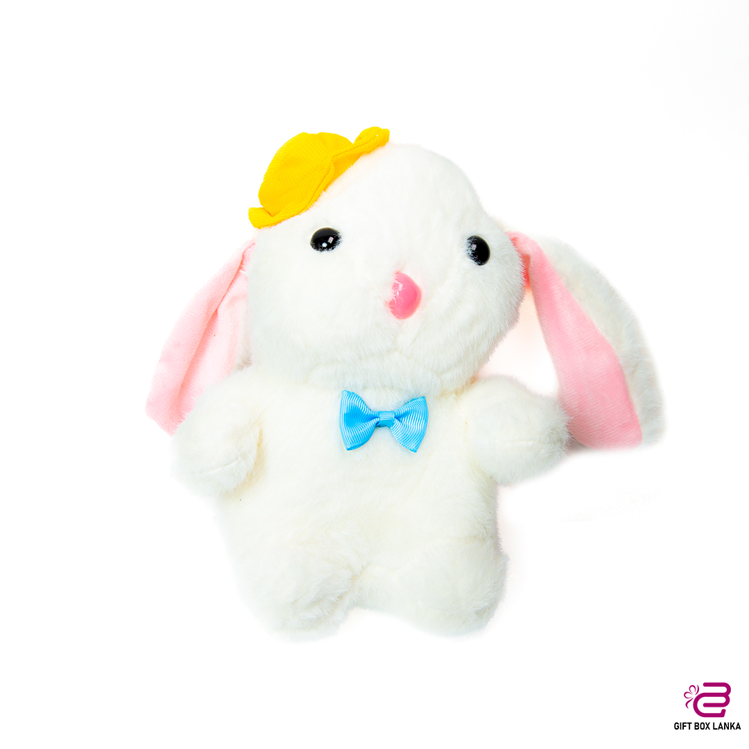 Hat Bunny Plush Toy (D- 1374)