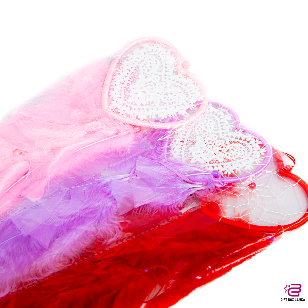 Dream Catcher (D - 2015)